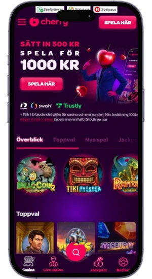 Ladda ner applikationen på vår webbplats